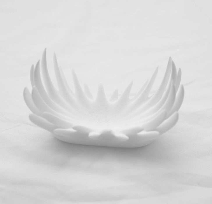 Thorn Tray
