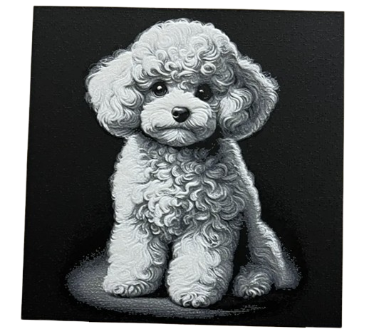 Teacup Poodle