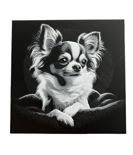 Chihuahua