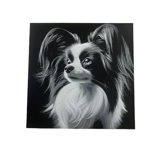 Papillion