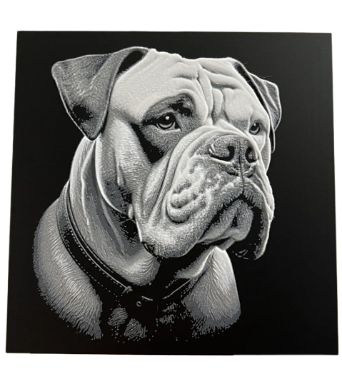 American Bulldog