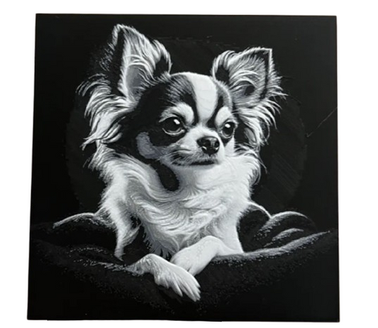 Chihuahua