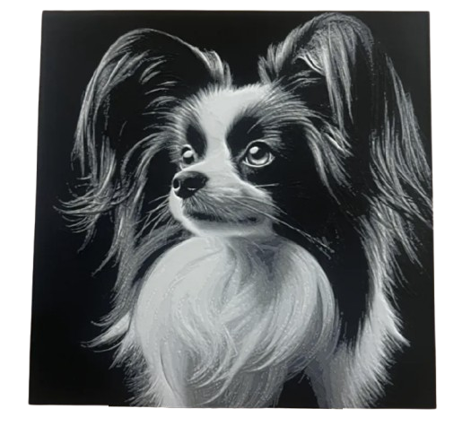 Papillion