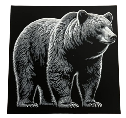 Black Bear